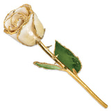 Lacquer Dipped Gold Trimmed Cream/White Real Rose