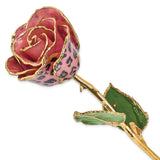 Lacquer Dipped Gold Trimmed Pink and Black Leopard Real Rose