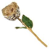 Lacquer Dipped 24k Gold Trimmed Cream/Black Leopard Real Rose