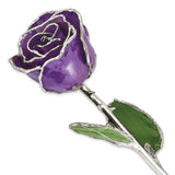 Lilac Lacquer Dipped Silver Trimmed Real Rose