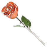 Orange Lacquer Dipped Silver Trimmed Real Rose
