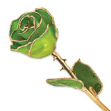 Lacquer Dipped Gold Trimmed Apple Green Real Rose