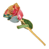 Lacquer Dipped Gold Trimmed Tri-color Real Rose
