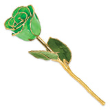Lacquer Dipped Gold Trimmed Geo Green Real Rose