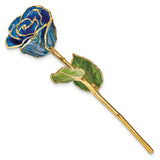 Lacquer Dipped Gold Trimmed Black and Blue Zebra Real Rose