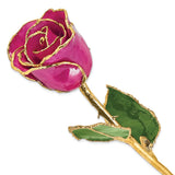 Lacquer Dipped Gold Trimmed Fuchsia Real Rose