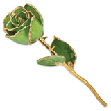 Lacquer Dipped Gold Trimmedmed Peridot/Topaz Real Rose