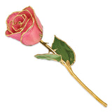 Lacquer Dipped Gold Trimmed Pink Real Rose