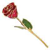 Lacquer Dipped Gold Trimmed Red Real Rose