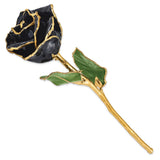 Lacquer Dipped Gold Trimmed Black Real Rose