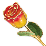 Lacquer Dipped Gold Trimmed Yellow/Red Real Rose