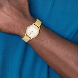 Mens Charles Hubert Stainless Steel IP-plated Gold-tone Dial Mesh Band Wa