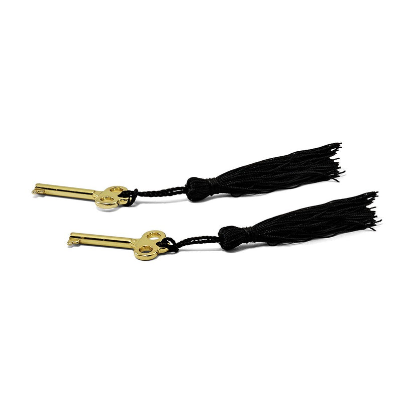 Luxury Giftware by Jere Tiger Wood Veneer High Gloss Finish Multi Use Locking Collector Box