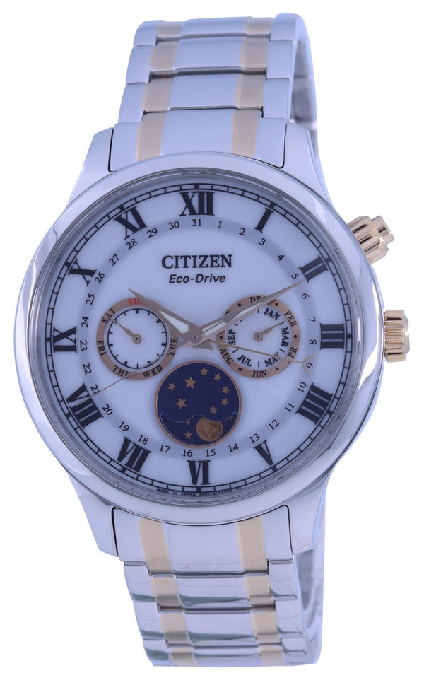 Citizen Moon Phase Silver Dial Two Tone Stainless Steel Dial Eco-Drive AP1054-80A Men's Watch