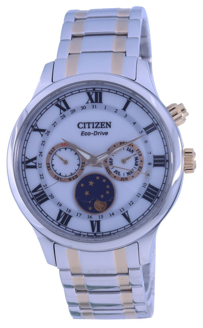 Citizen Moon Phase Silver Dial Two Tone Stainless Steel Dial Eco-Drive AP1054-80A Men's Watch