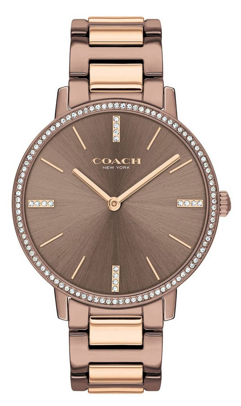 Coach Audrey Crystal Accents Two Tone Stainless Steel Quartz 14503502 Women's Watch