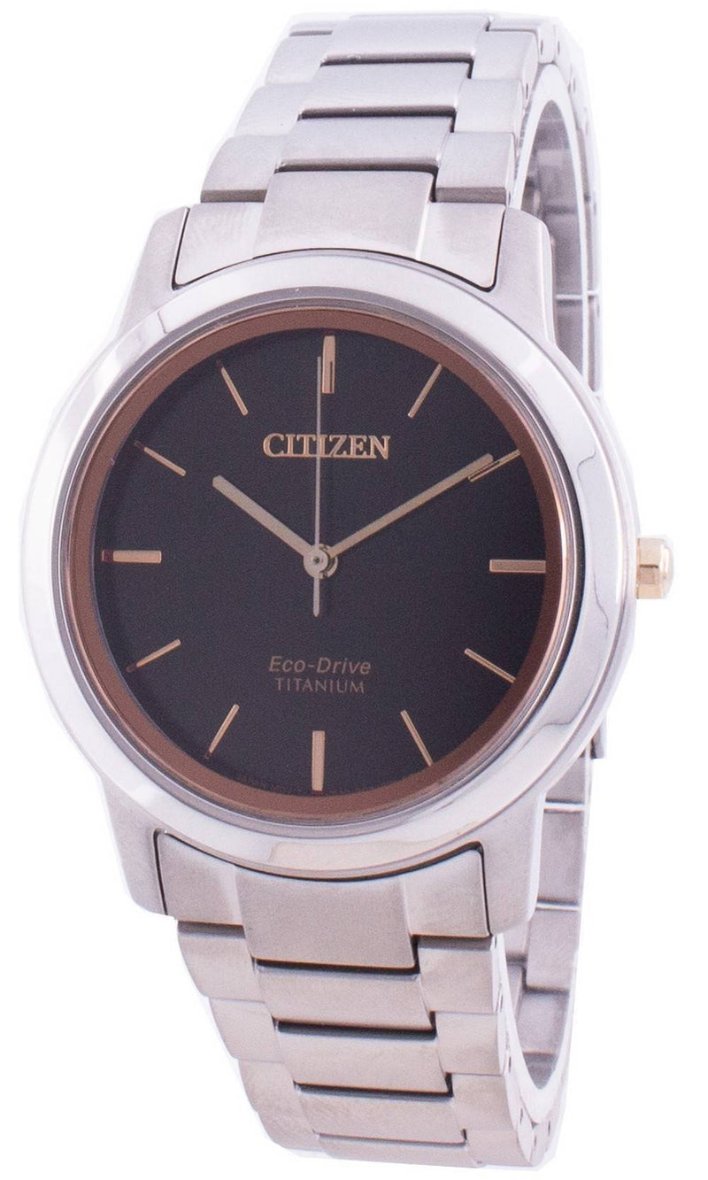 Citizen Eco-Drive Titanium FE7024-84E Women's Watch