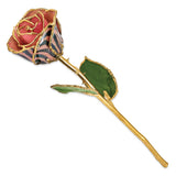 Lacquer Dipped Gold Trimmed Pink and Black Chameleon Real Rose