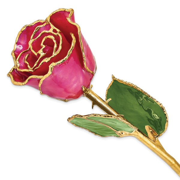 Lacquer Dipped Gold Trimmed Plum Fuchsia Real Rose