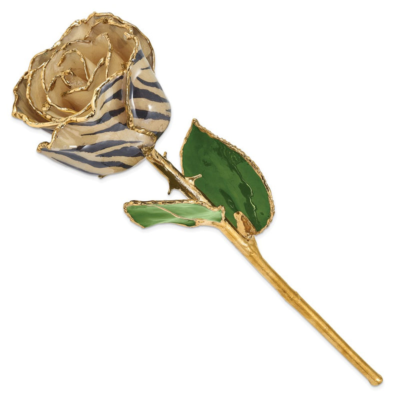 Lacquer Dipped 24k Gold Trimmed Cream/Black Zebra Real Rose