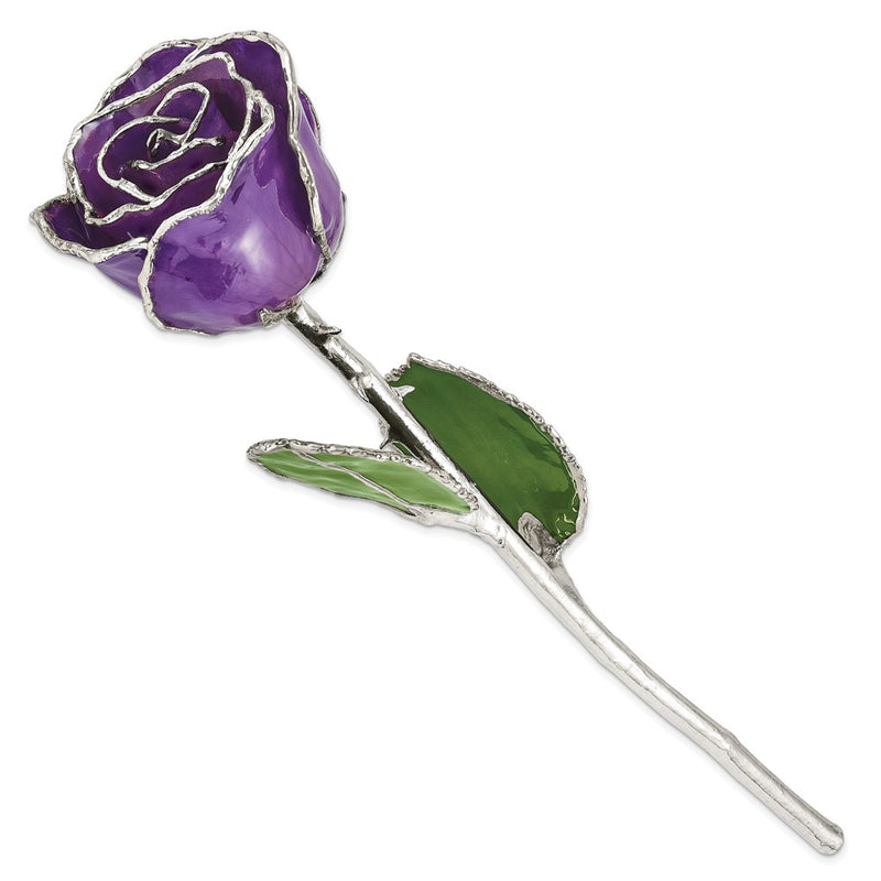 Lilac Lacquer Dipped Silver Trimmed Real Rose