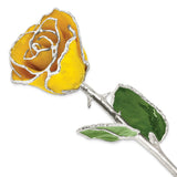 Yellow Lacquer Dipped Silver Trimmed Real Rose