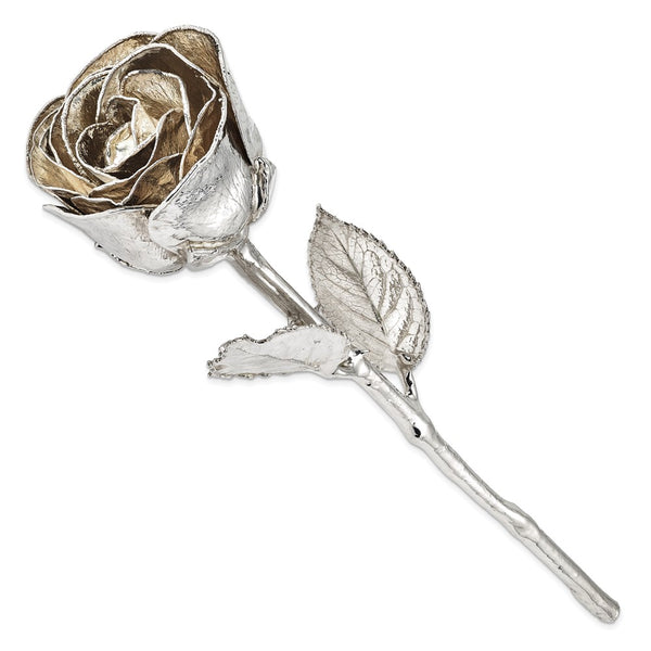 Silver Dipped Real Rose