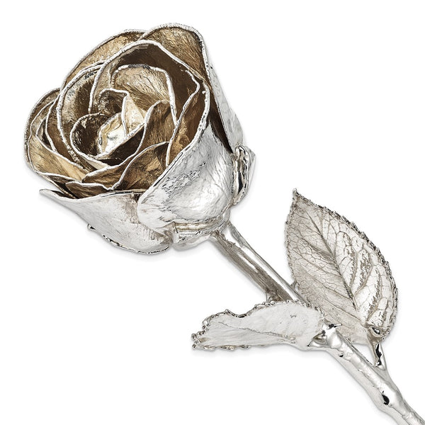 Silver Dipped Real Rose