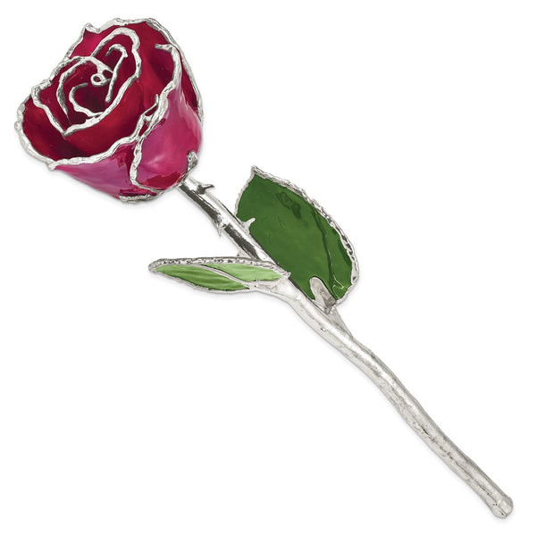 Burgundy Lacquer Dipped Silver Trimmed Real Rose