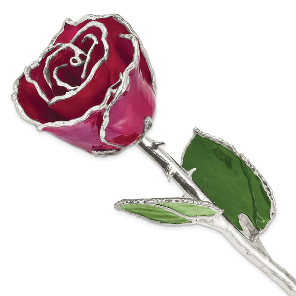 Burgundy Lacquer Dipped Silver Trimmed Real Rose