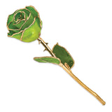 Lacquer Dipped Gold Trimmed Apple Green Real Rose