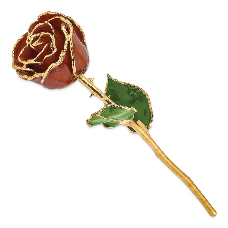 Lacquer Dipped Gold Trimmed Root Beer Real Rose