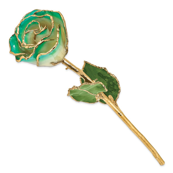 Lacquer Dipped Gold Trimmed White/Turquoise Green Real Rose