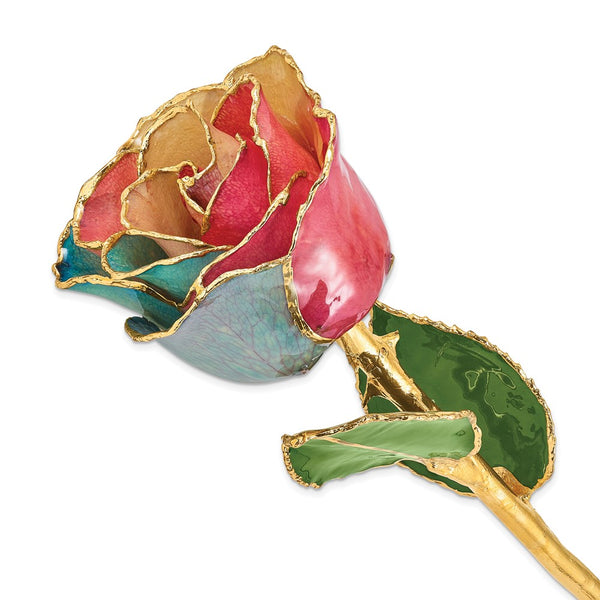 Lacquer Dipped Gold Trimmed Tri-color Real Rose