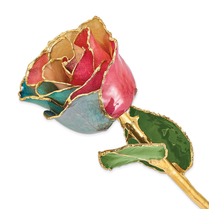 Lacquer Dipped Gold Trimmed Tri-color Real Rose