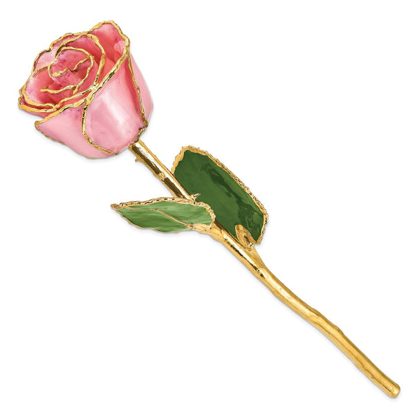Lacquer Dipped Gold Trimmed Pink Pearl Real Rose