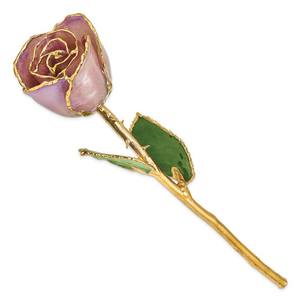Lacquer Dipped Gold Trimmed Lavender Real Rose