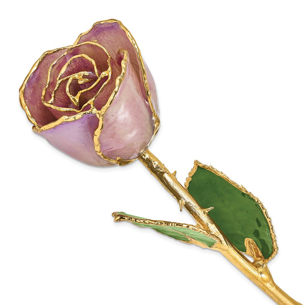 Lacquer Dipped Gold Trimmed Lavender Real Rose