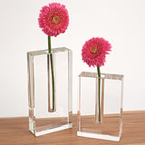 Badash Handcrafted Lead-free Crystal Set of Two Single Bud Vases