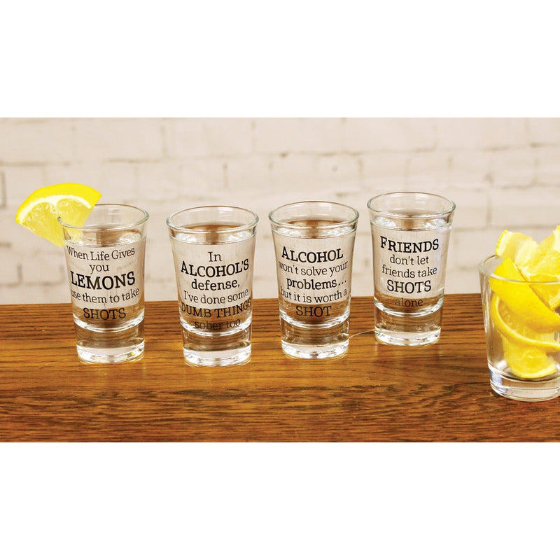 Lillian Rose Set of 4 Party Shot Glasses with Assorted Sayings