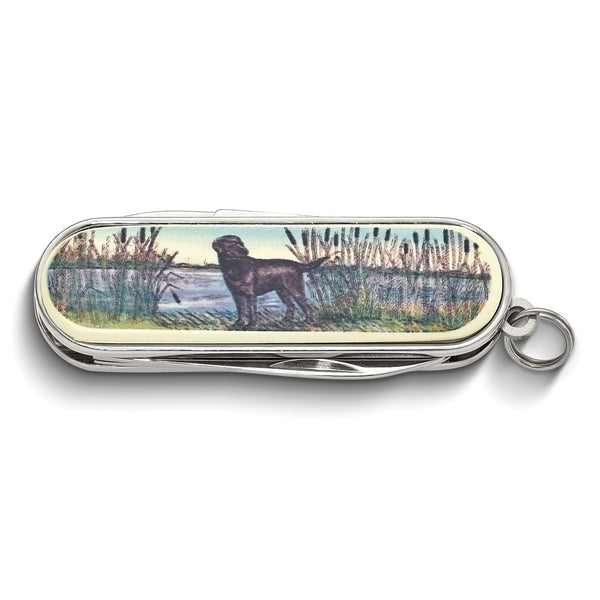 Barlow Designs Color Labrador Dog In Reeds Multifunction Pocket Knife