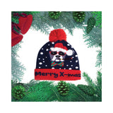 MERRY XMAS Dog with Sunglasses LED Lighted Beanie Hat