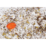 Orange Honey Flavored Pack of Six Drink Stirrers