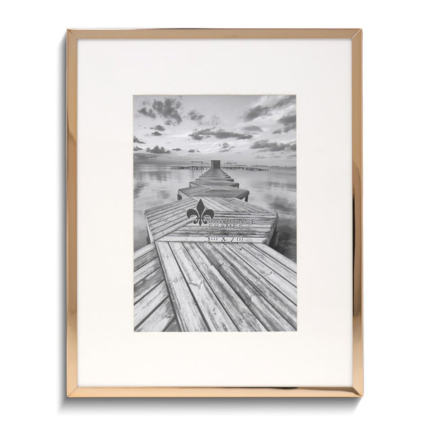 Gold-tone 8x10 Frame with Bevel-cut Mat For 5x7 Photo