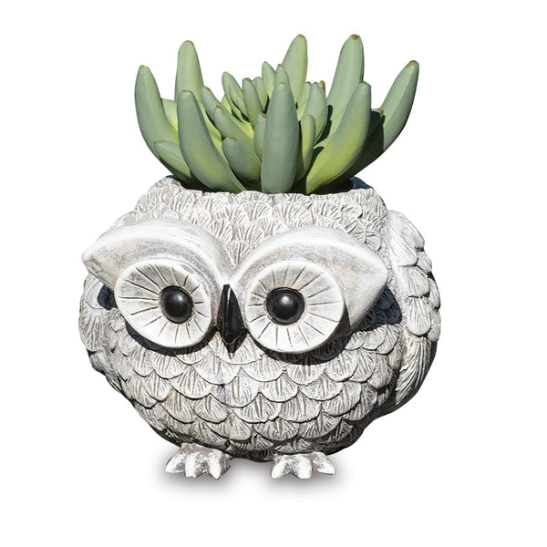 Stone Resin Mini Owl Pudgy Planter