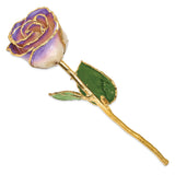 Lacquer Dipped Gold Trimmed White and Blue Opal Real Rose