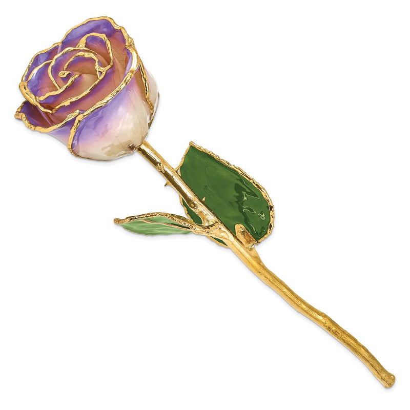 Lacquer Dipped Gold Trimmed White and Blue Opal Real Rose