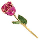 Lacquer Dipped Gold Trimmed Fuchsia Real Rose