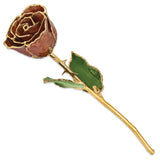 Lacquer Dipped Gold Trimmed Cinnamon Pearl Real Rose