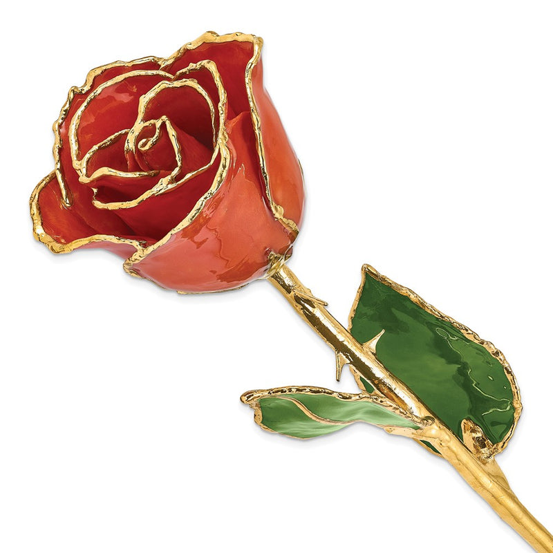 Lacquer Dipped Gold Trimmed Sonia Pearl Real Rose